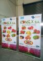 Rollup Banner 200χ120